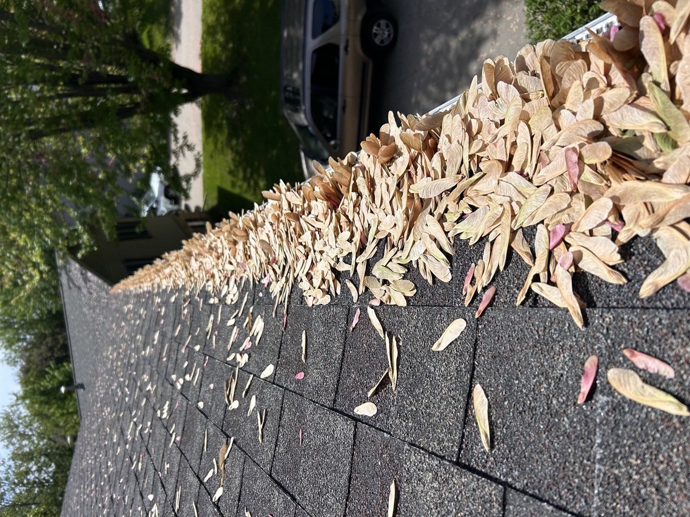 Gutter Cleaning by Summit Construction